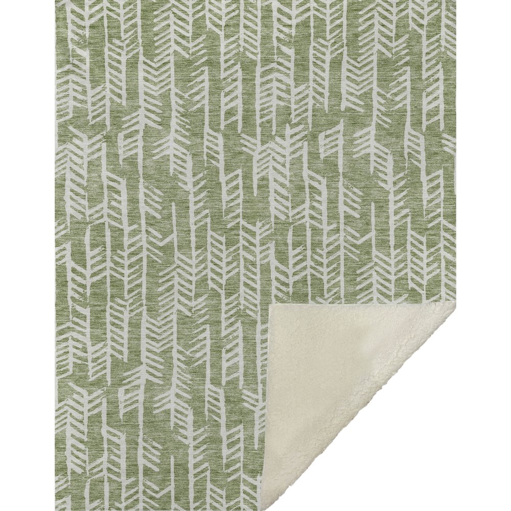 Premium Machine Washable ASB906 Green 50" x 70" Sherpa Throw Blanket. Picture 1