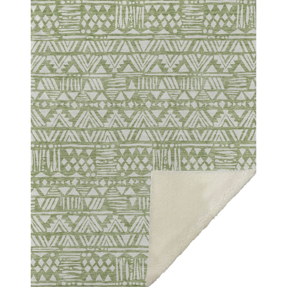 Premium Machine Washable ASB907 Green 50" x 70" Sherpa Throw Blanket. Picture 1