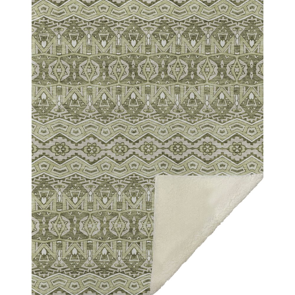 Premium Machine Washable ASB909 Aloe 50" x 70" Sherpa Throw Blanket. Picture 1