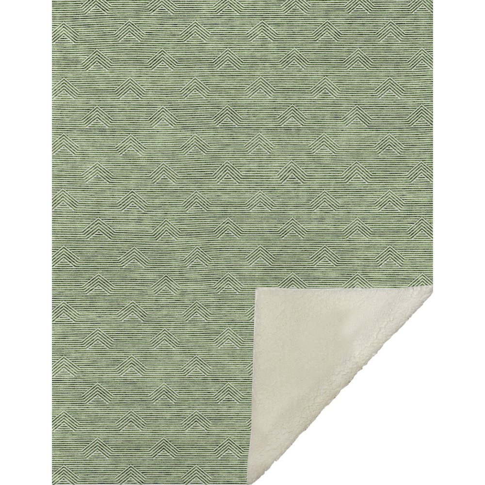 Premium Machine Washable ASB910 Green 50" x 70" Sherpa Throw Blanket. Picture 1