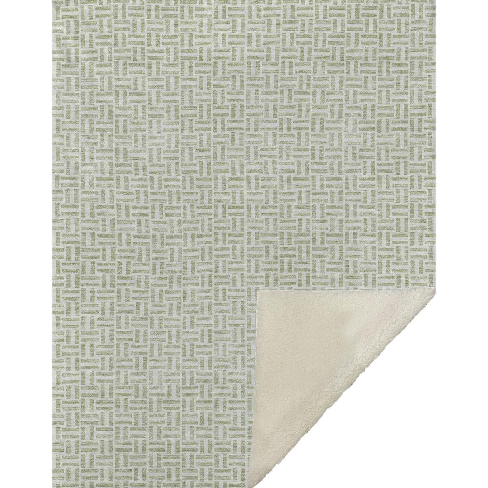 Premium Machine Washable ASB911 Aloe 50" x 70" Sherpa Throw Blanket. Picture 1