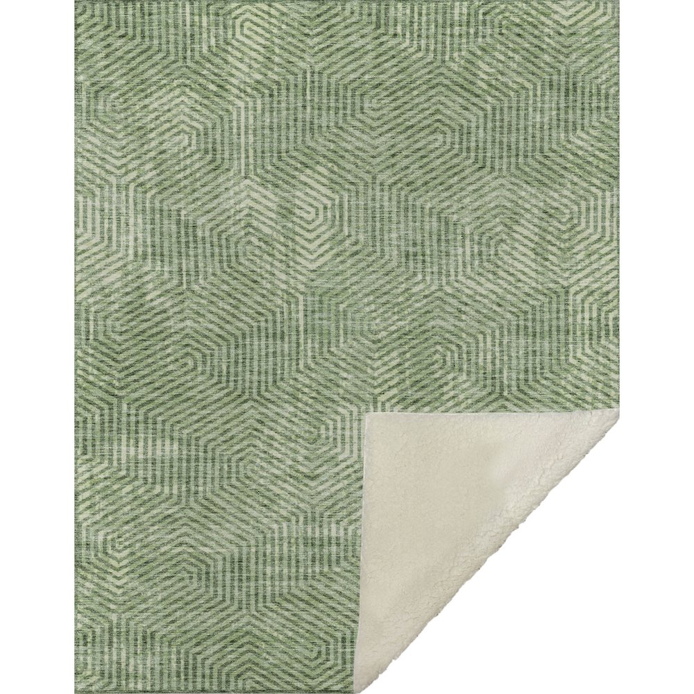 Premium Machine Washable ASB912 Green 50" x 70" Sherpa Throw Blanket. Picture 1