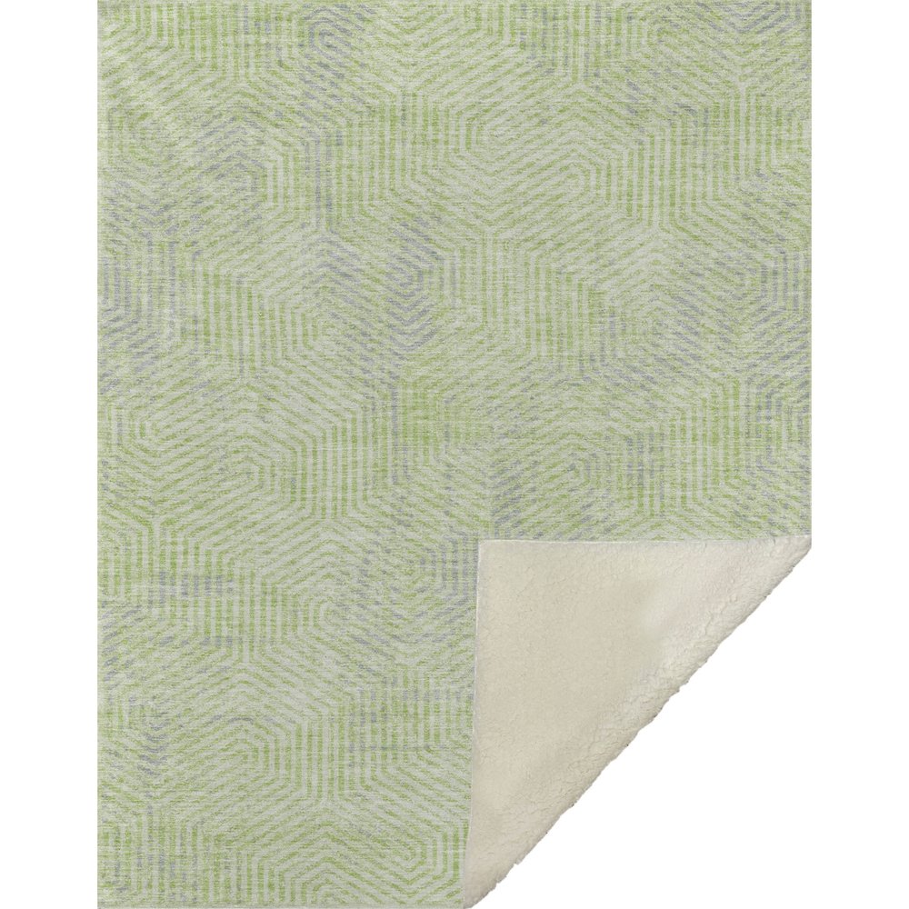 Premium Machine Washable ASB912 Lime 50" x 70" Sherpa Throw Blanket. Picture 1