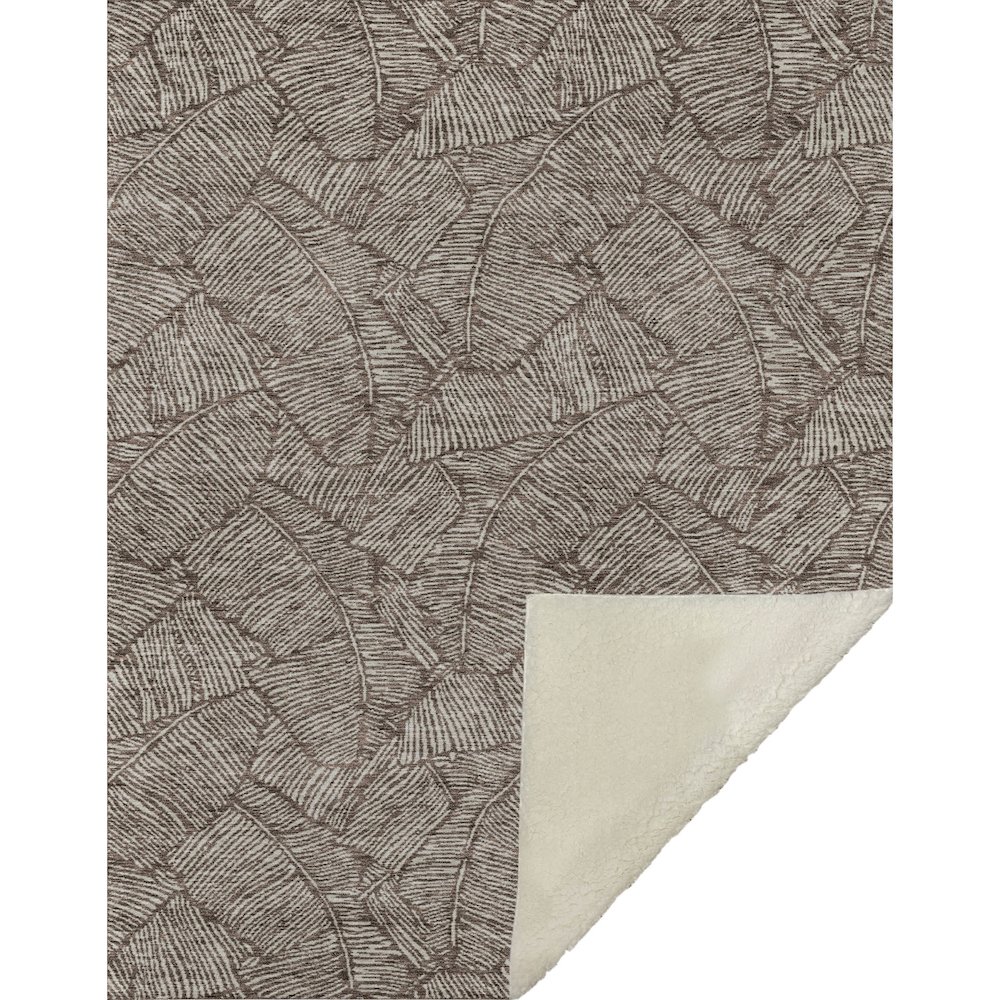 Premium Machine Washable ASB913 Brown 50" x 70" Sherpa Throw Blanket. Picture 1