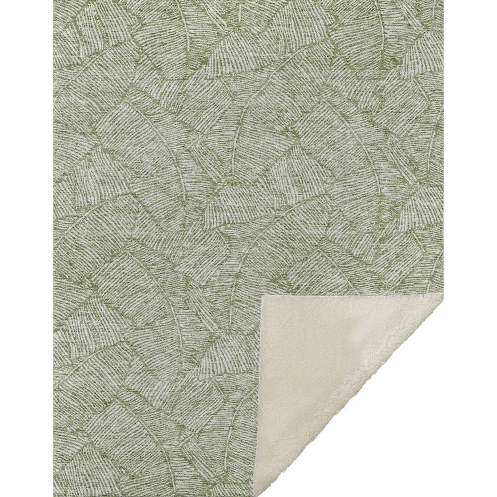 Premium Machine Washable ASB913 Green 50" x 70" Sherpa Throw Blanket. Picture 1