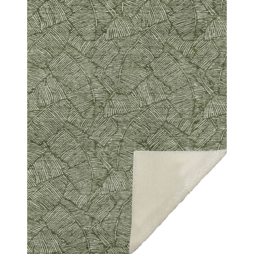 Premium Machine Washable ASB913 Olive 50" x 70" Sherpa Throw Blanket. Picture 1