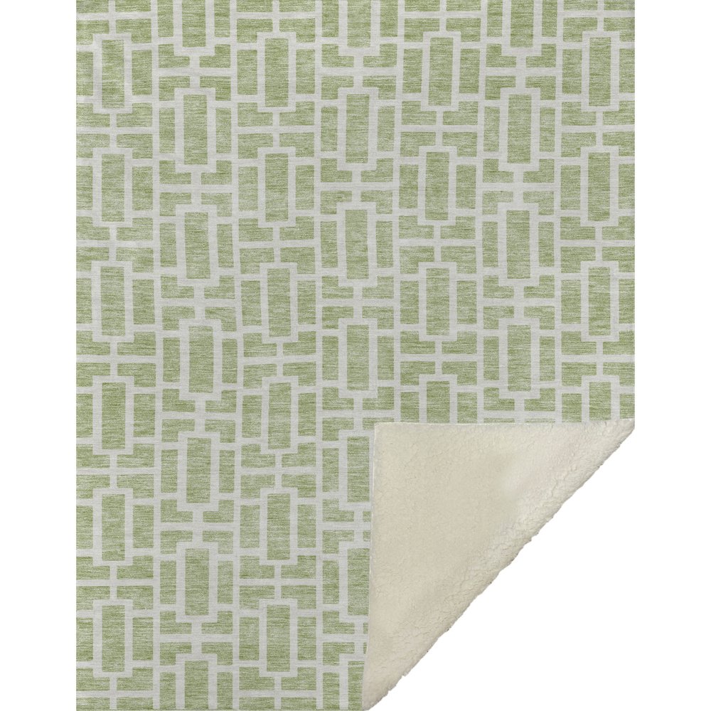 Premium Machine Washable ASB916 Aloe 50" x 70" Sherpa Throw Blanket. Picture 1