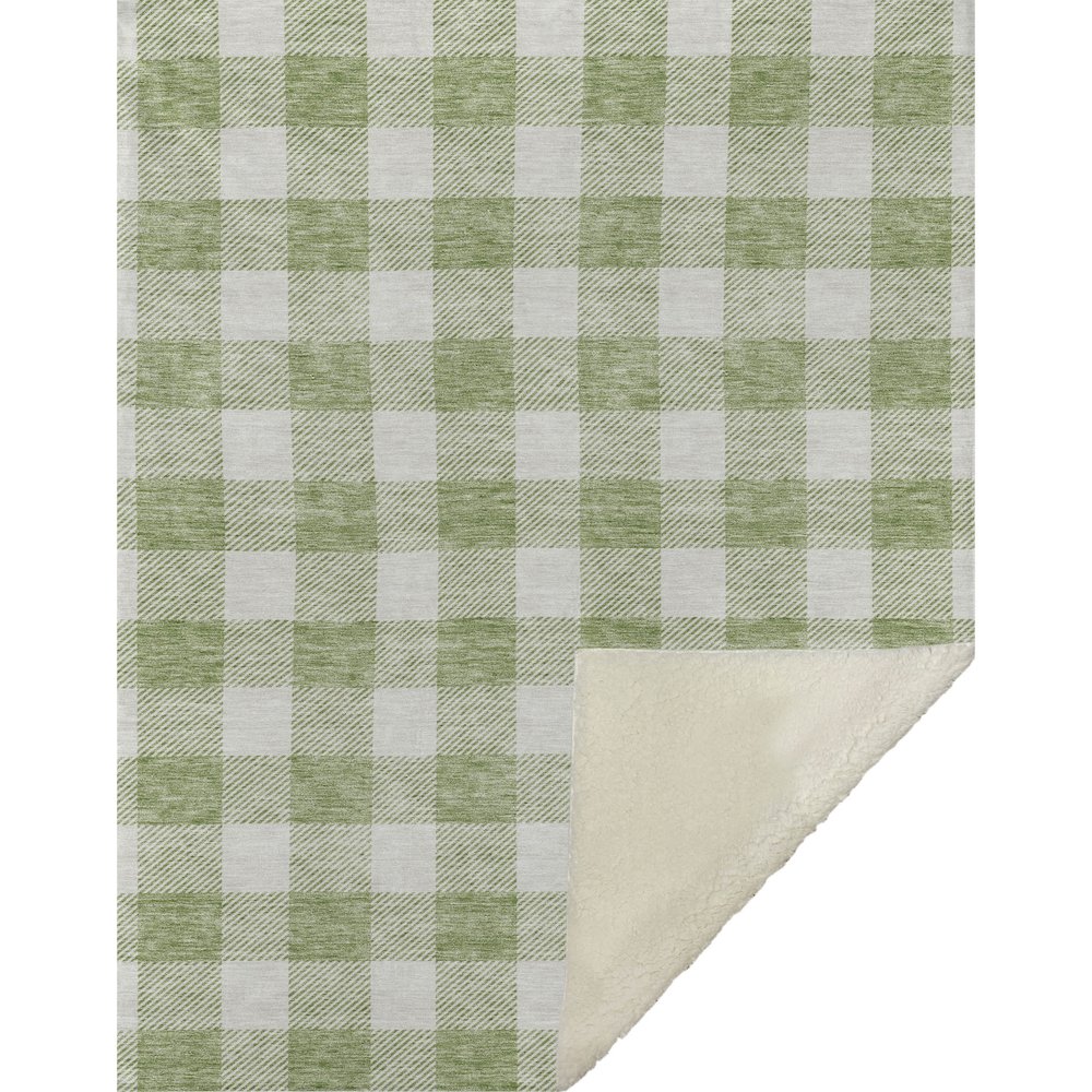Premium Machine Washable ASB923 Aloe 50" x 70" Sherpa Throw Blanket. Picture 1