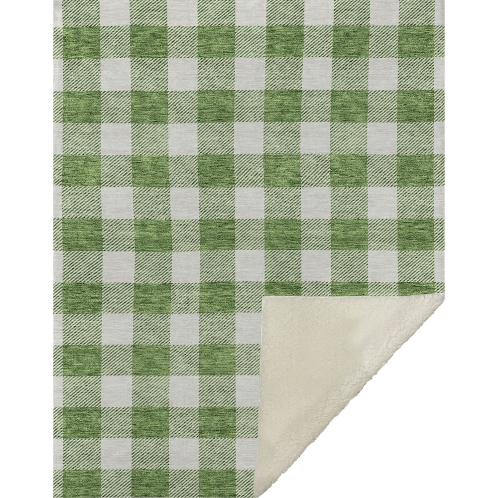 Premium Machine Washable ASB923 Green 50" x 70" Sherpa Throw Blanket. Picture 1