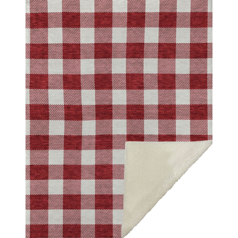 Premium Machine Washable ASB923 Red 50" x 70" Sherpa Throw Blanket. Picture 1