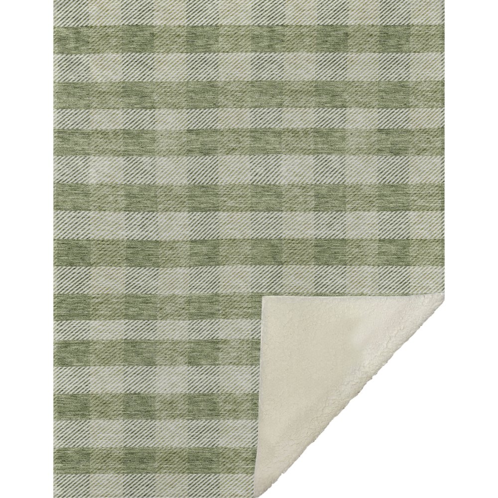 Premium Machine Washable ASB924 Green 50" x 70" Sherpa Throw Blanket. Picture 1
