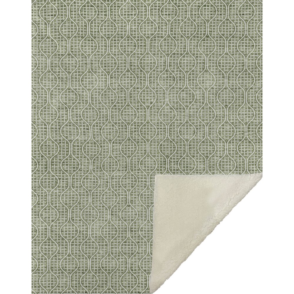 Premium Machine Washable ASB926 Green 50" x 70" Sherpa Throw Blanket. Picture 1