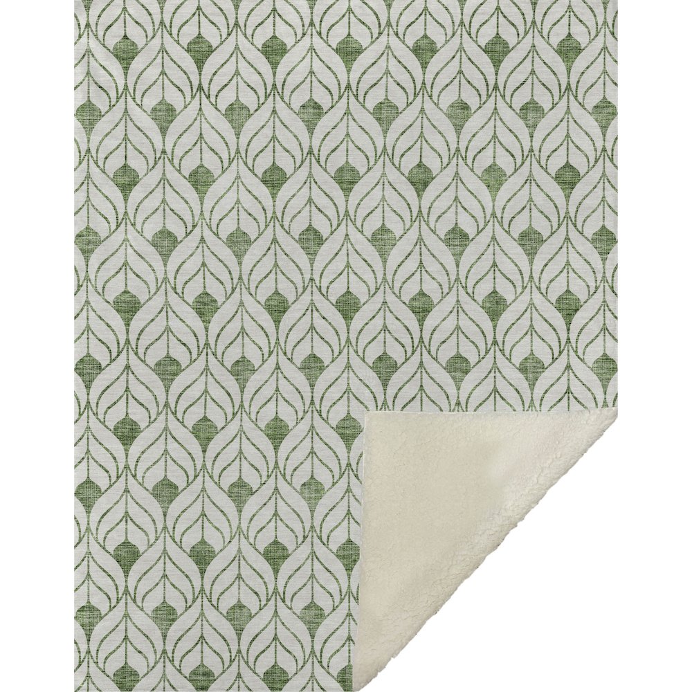 Premium Machine Washable ASB927 Green 50" x 70" Sherpa Throw Blanket. Picture 1