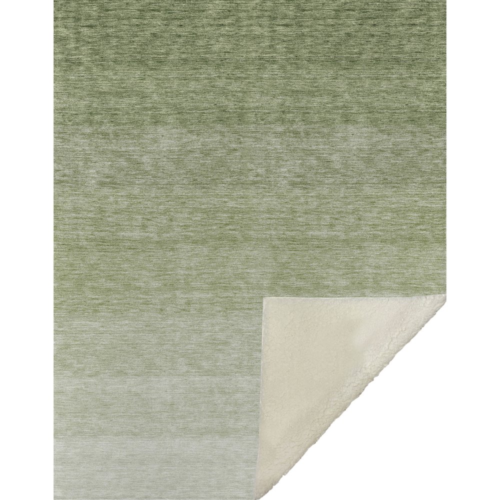 Premium Machine Washable ASB928 Green 50" x 70" Sherpa Throw Blanket. Picture 1