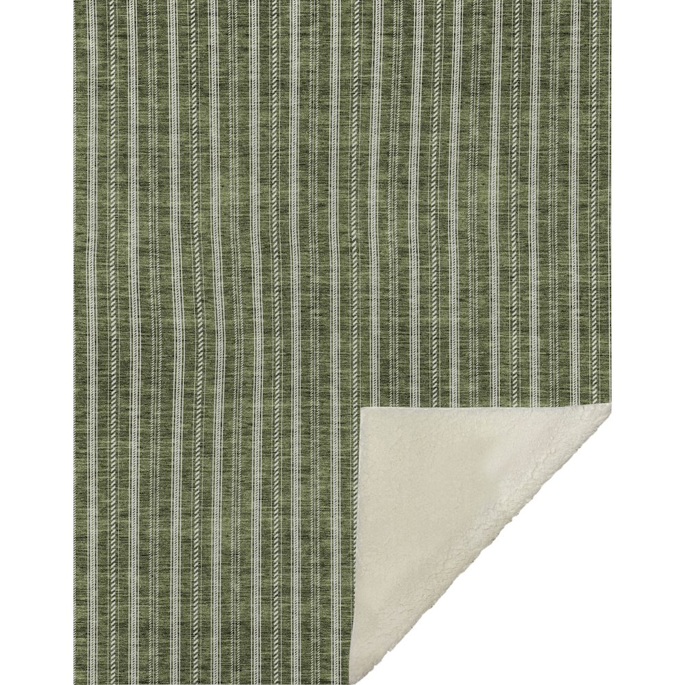 Premium Machine Washable ASB929 Olive 50" x 70" Sherpa Throw Blanket. Picture 1