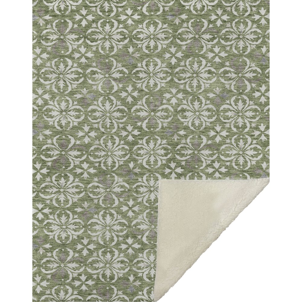 Premium Machine Washable ASB930 Green 50" x 70" Sherpa Throw Blanket. Picture 1