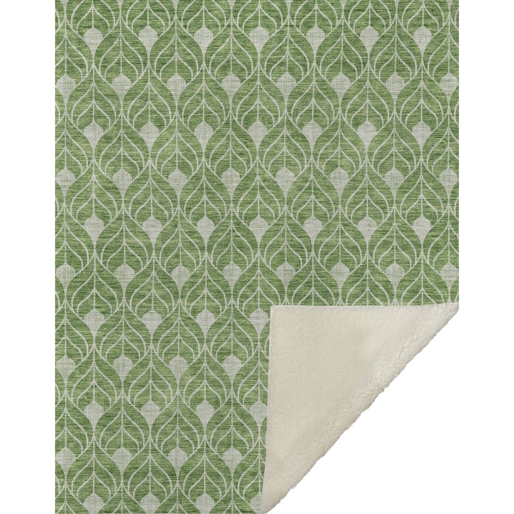 Premium Machine Washable ASB931 Green 50" x 70" Sherpa Throw Blanket. Picture 1