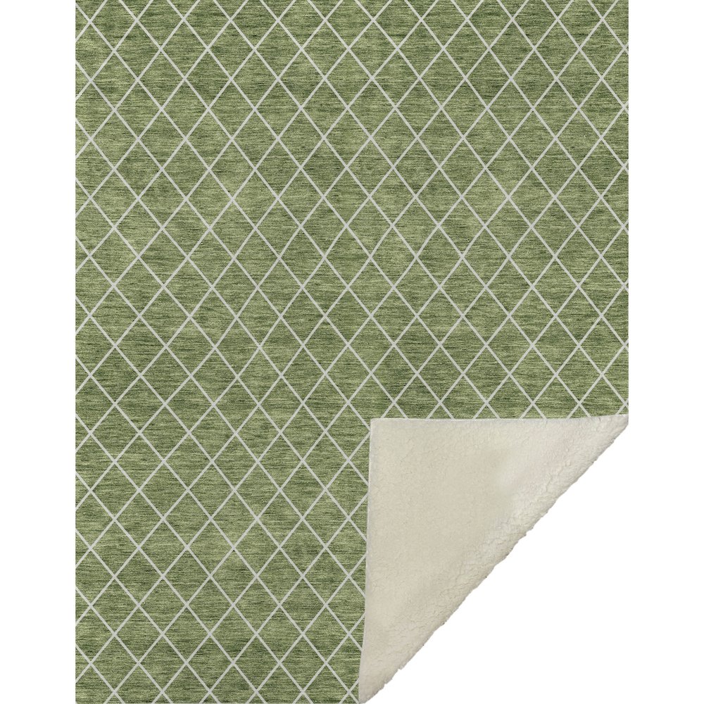 Premium Machine Washable ASB932 Green 50" x 70" Sherpa Throw Blanket. Picture 1
