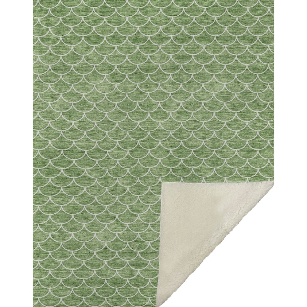 Premium Machine Washable ASB933 Green 50" x 70" Sherpa Throw Blanket. Picture 1