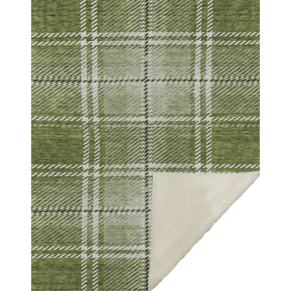 Premium Machine Washable ASB935 Green 50" x 70" Sherpa Throw Blanket. Picture 1