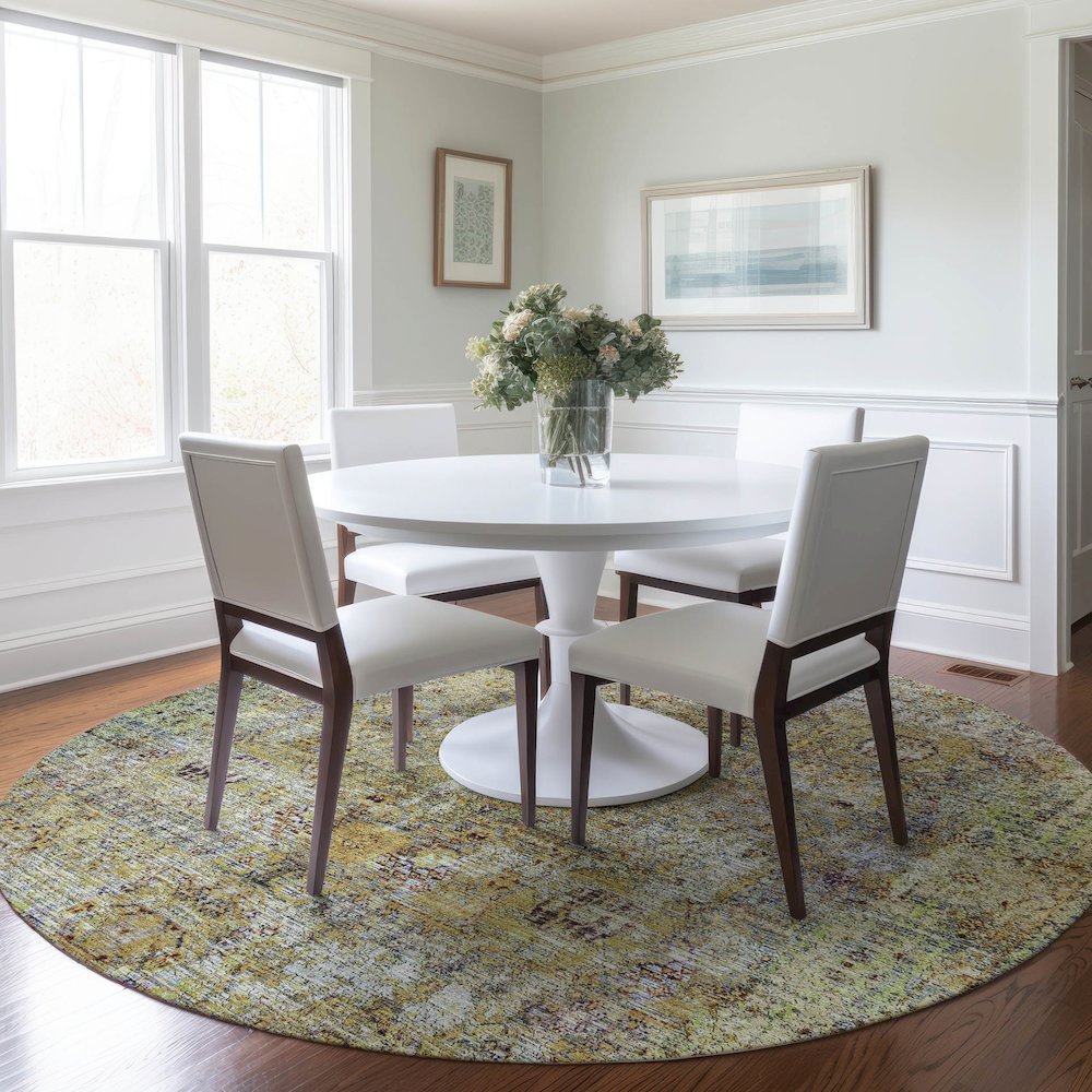 Indoor/Outdoor Karaj Aloe 8' x 8' Round Rug. Picture 5