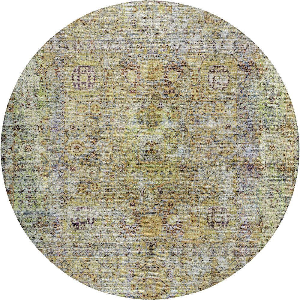 Indoor/Outdoor Karaj Aloe 8' x 8' Round Rug. Picture 1