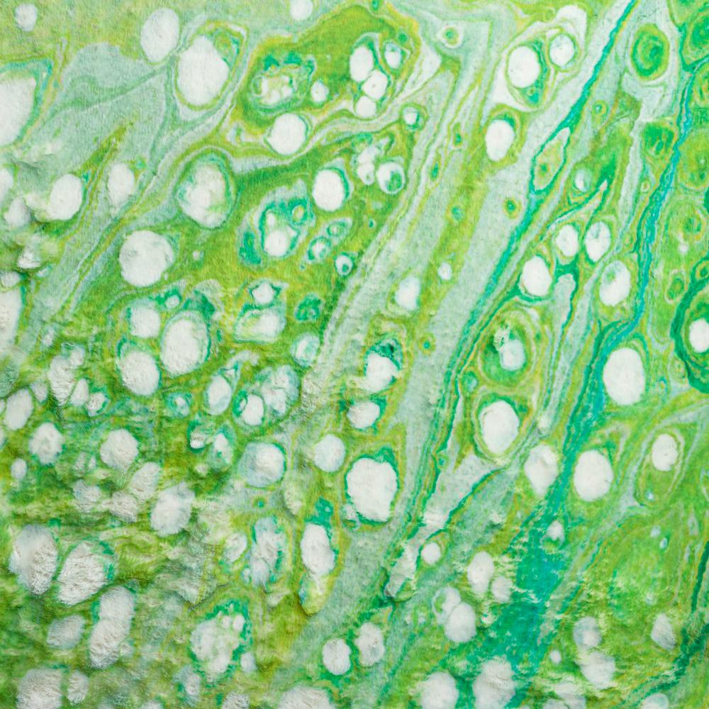 Kikiamo KK5 Lime-In 1'8" x 2'6" Rug. Picture 3