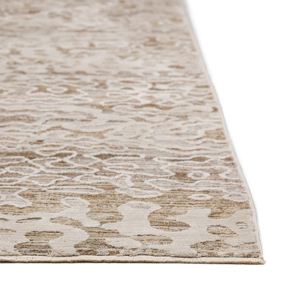 Denizi DZ6 Mocha 3'3" x 5'3" Rug. Picture 6