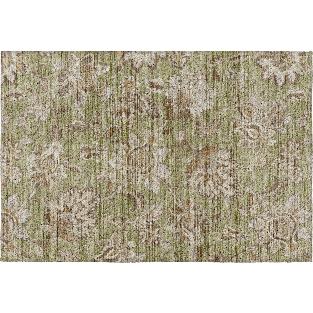 Indoor/Outdoor Silk Road Aloe 1'8" x 2'6" Rug. Picture 1