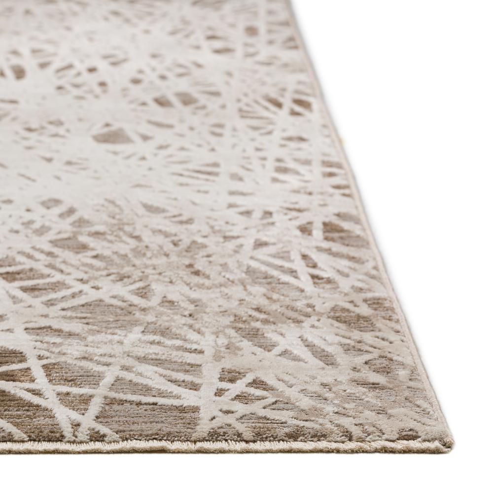 Denizi DZ4 Taupe 3'3" x 5'3" Rug. Picture 6