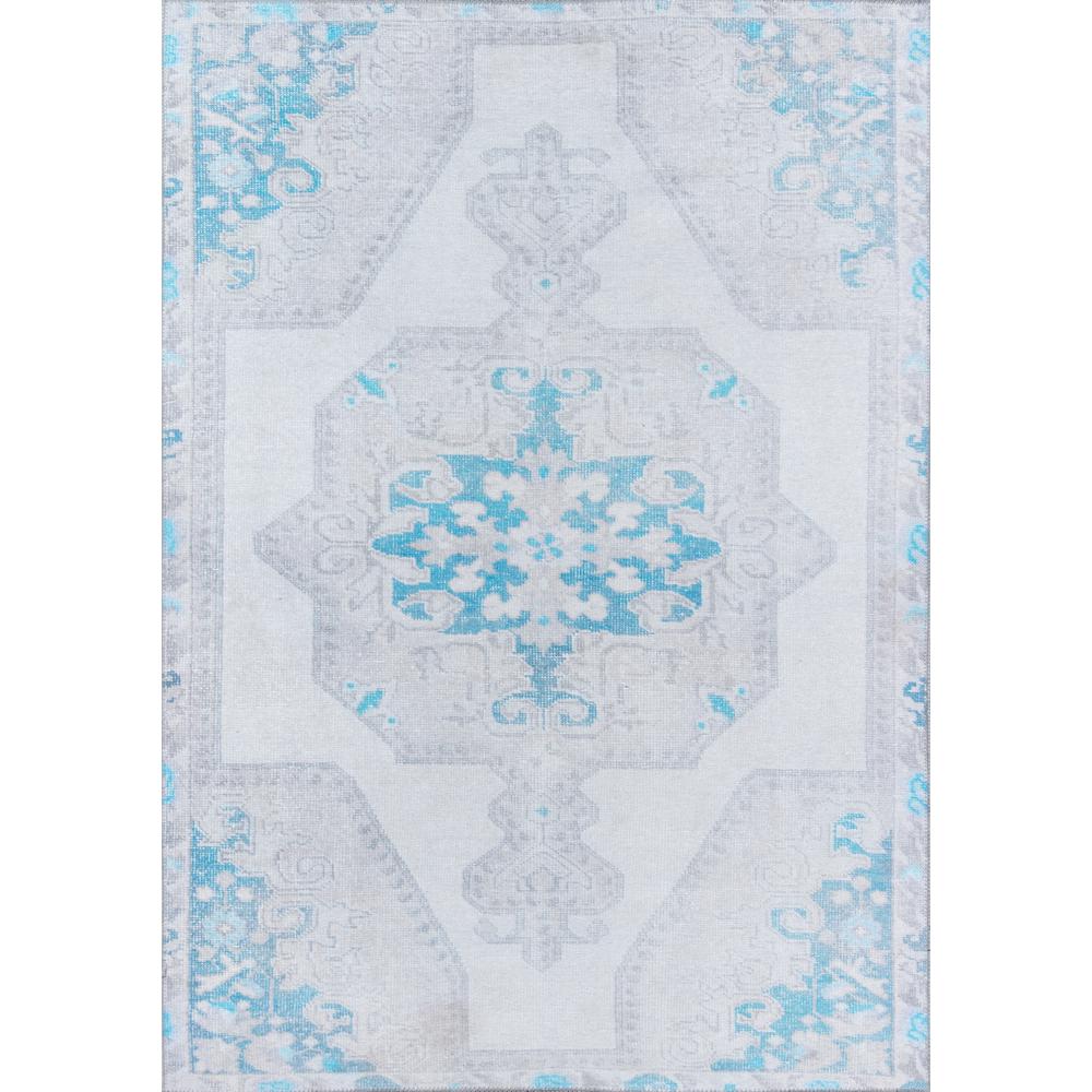 Traditional Runner Area Rug, Grey, 2'3" X 7'6" Runner. Picture 1