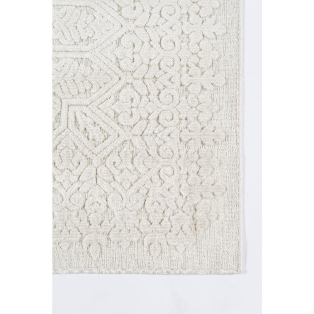 Traditional Runner Area Rug, Ivory, 2'3" X 7'6" Runner. Picture 3