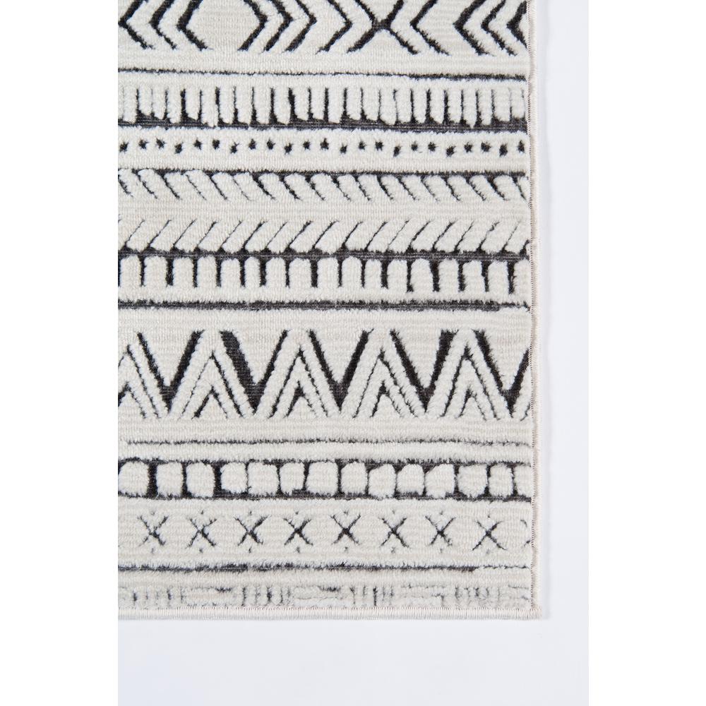 Traditional Runner Area Rug, Ivory, 2'3" X 7'6" Runner. Picture 3