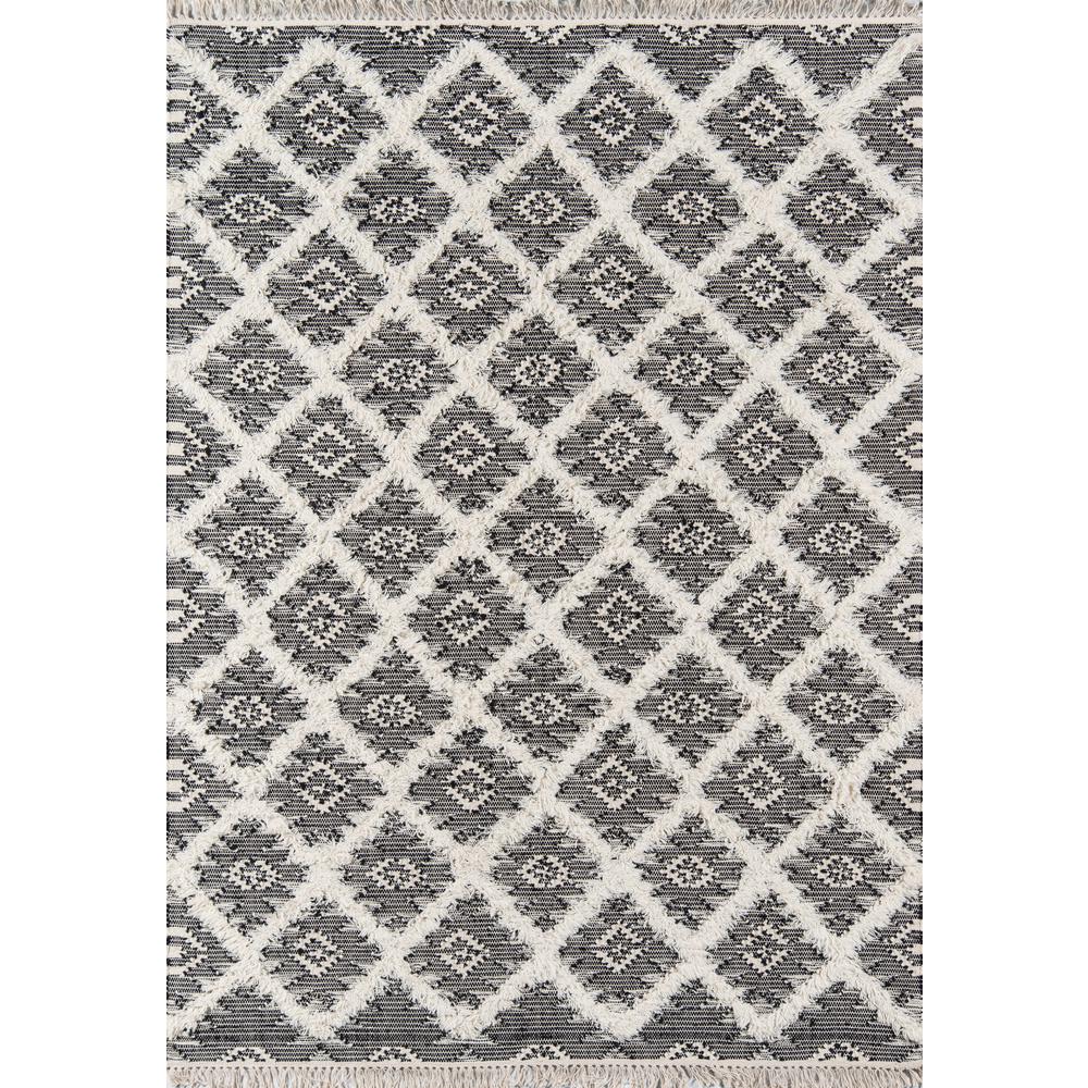 Contemporary Rectangle Area Rug, Black, 3' X 5'. Picture 1