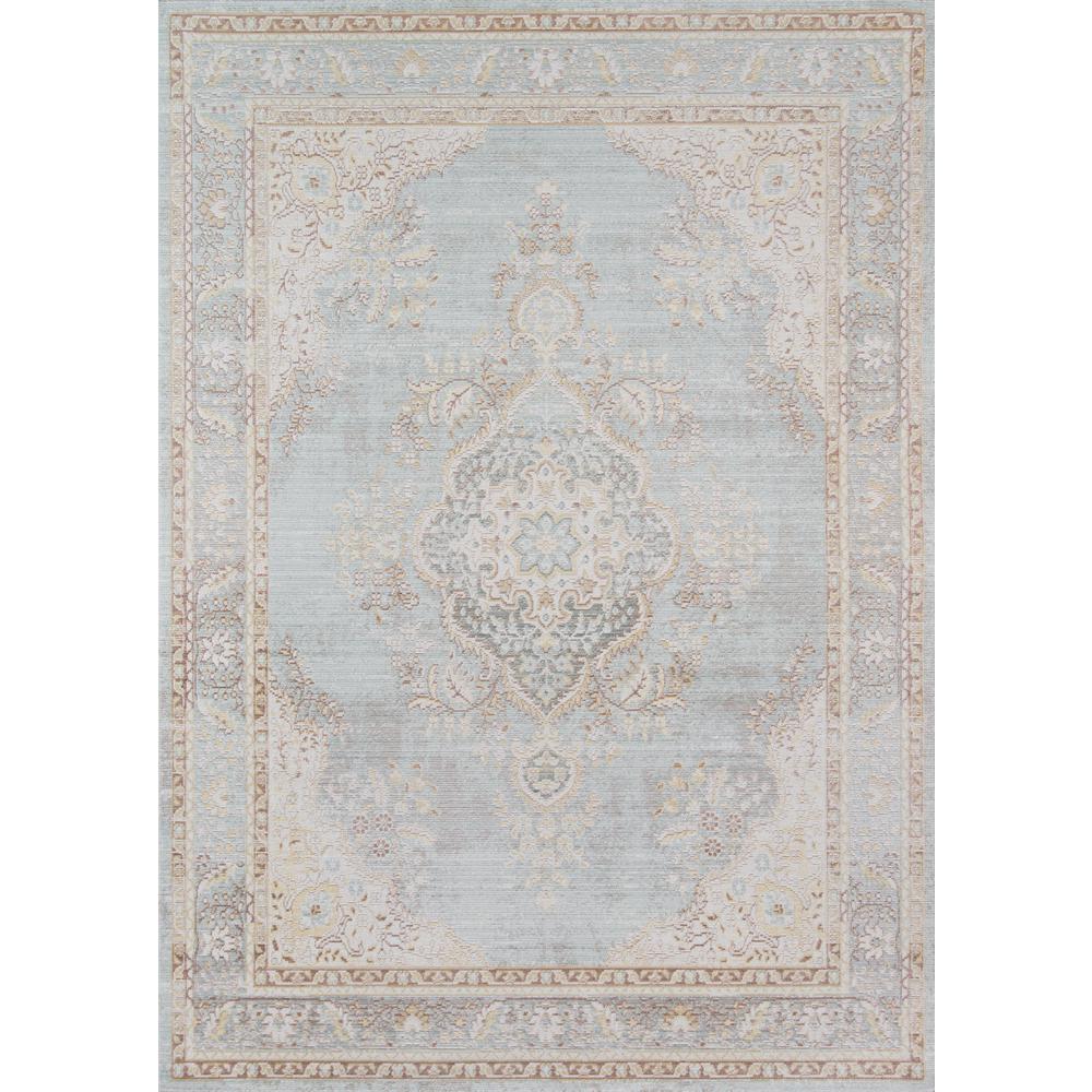 Traditional Rectangle Area Rug, Blue, 4' X 6'. Picture 1