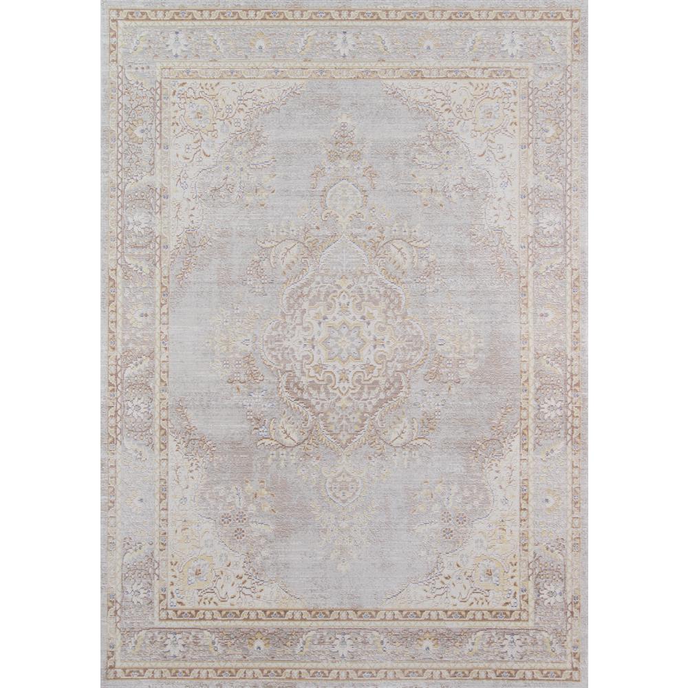Traditional Rectangle Area Rug, Grey, 4' X 6'. Picture 1