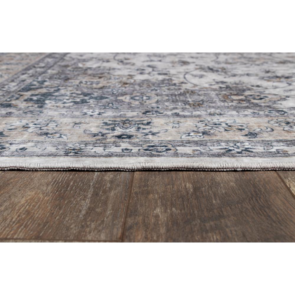 Traditional Rectangle Area Rug, Grey, 3'6" X 5'6". Picture 3