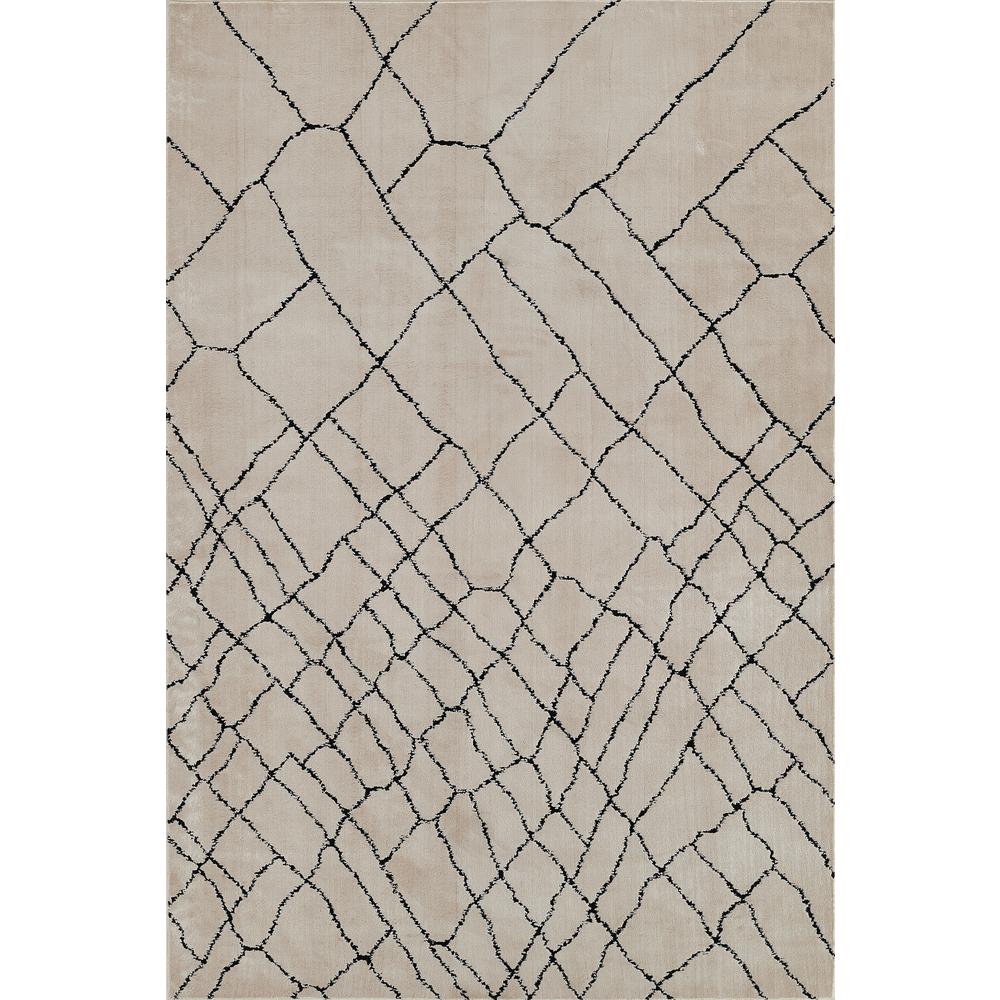 Contemporary Rectangle Area Rug, Ivory, 3'11" X 5'7". Picture 1