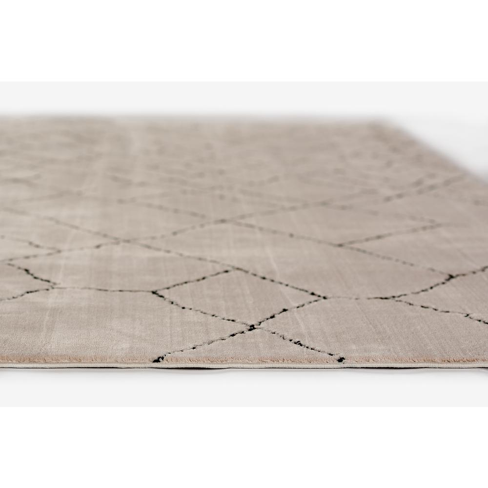 Contemporary Rectangle Area Rug, Ivory, 3'11" X 5'7". Picture 6