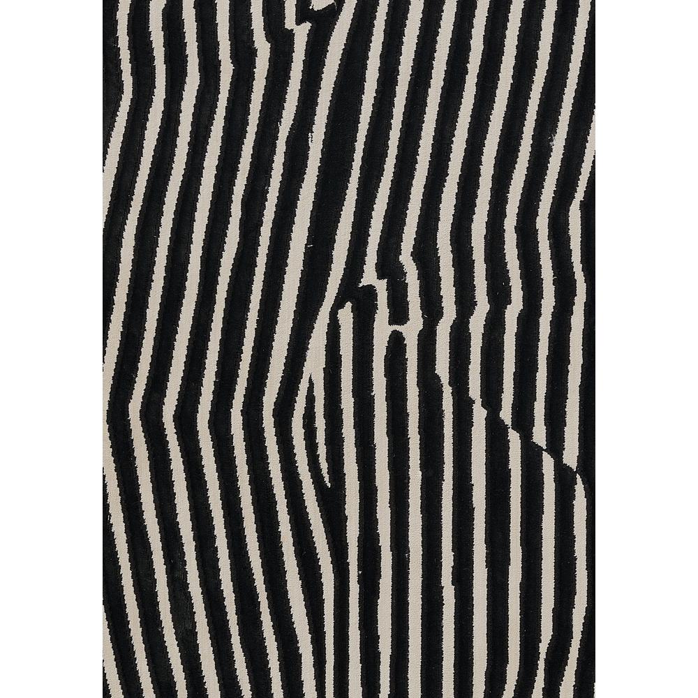 Contemporary Rectangle Area Rug, Black, 3'11" X 5'7". Picture 7