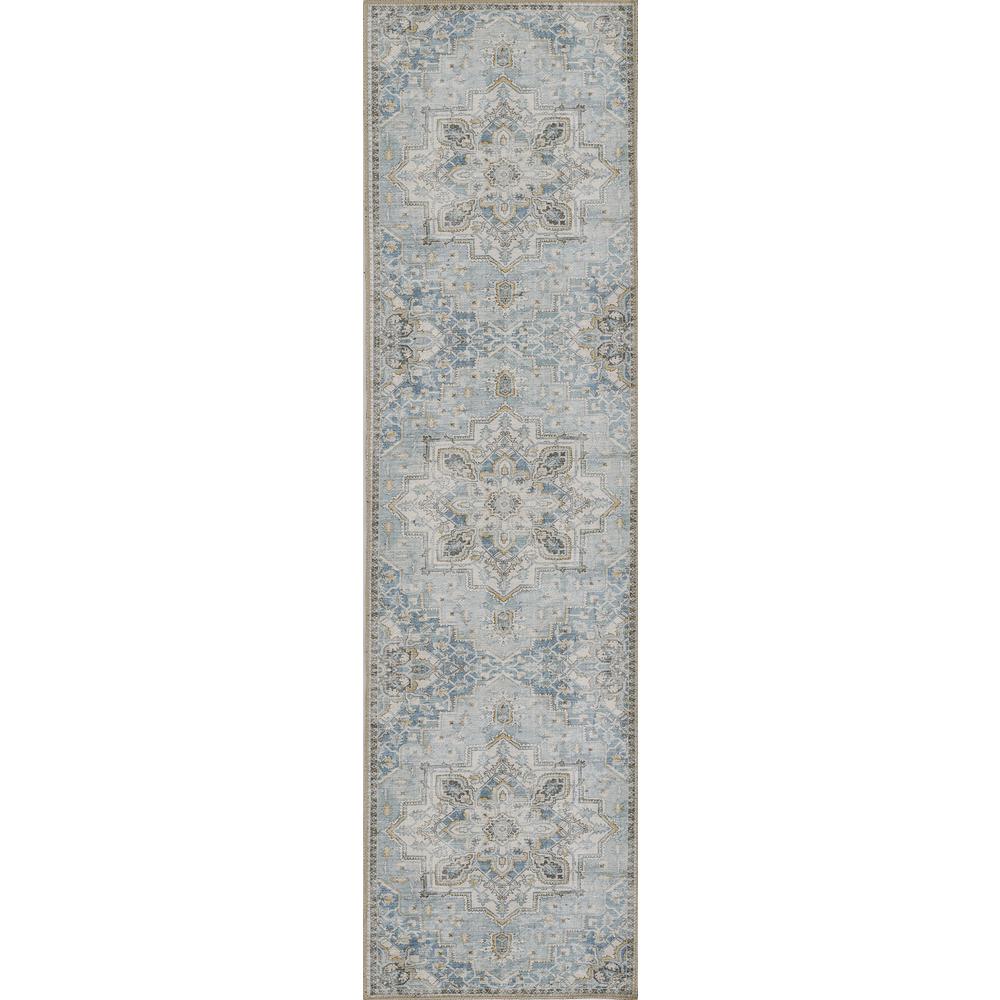 Traditional Runner Area Rug, Light Blue, 2'3" X 7'6" Runner. Picture 5