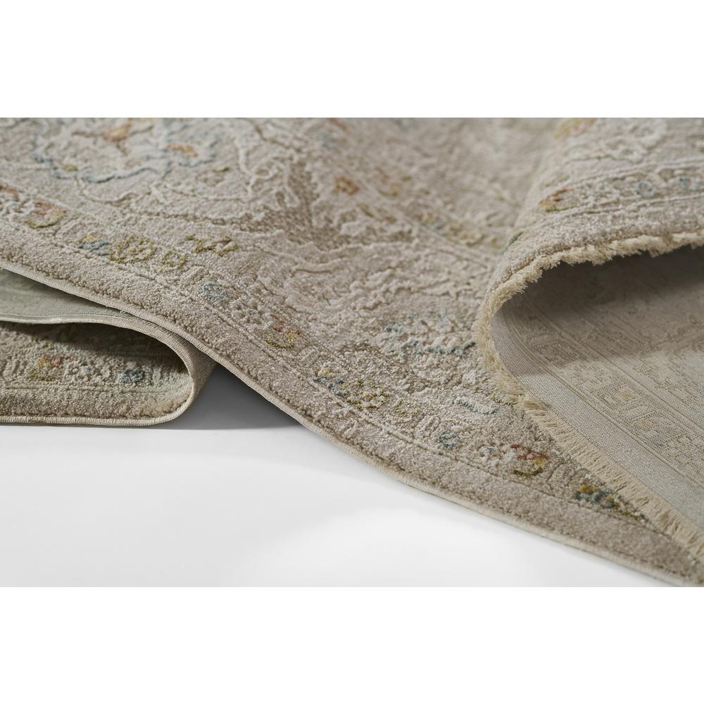 Traditional Rectangle Area Rug, Beige, 7'10" X 10'10". Picture 8