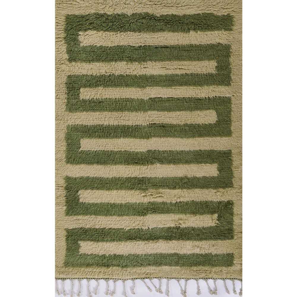 Contemporary Rectangle Area Rug, Green, 5' X 8'. Picture 1