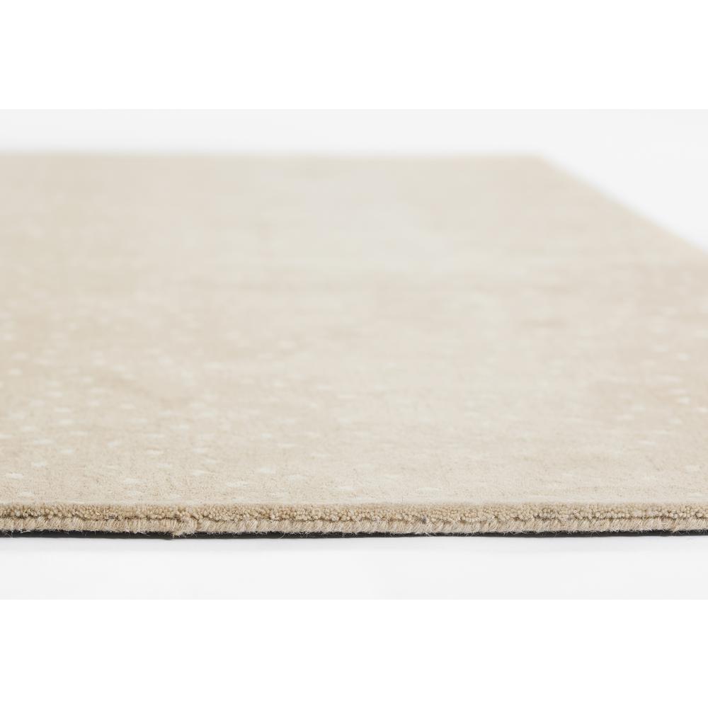 Contemporary Rectangle Area Rug, Beige, 3'6" X 5'6". Picture 6