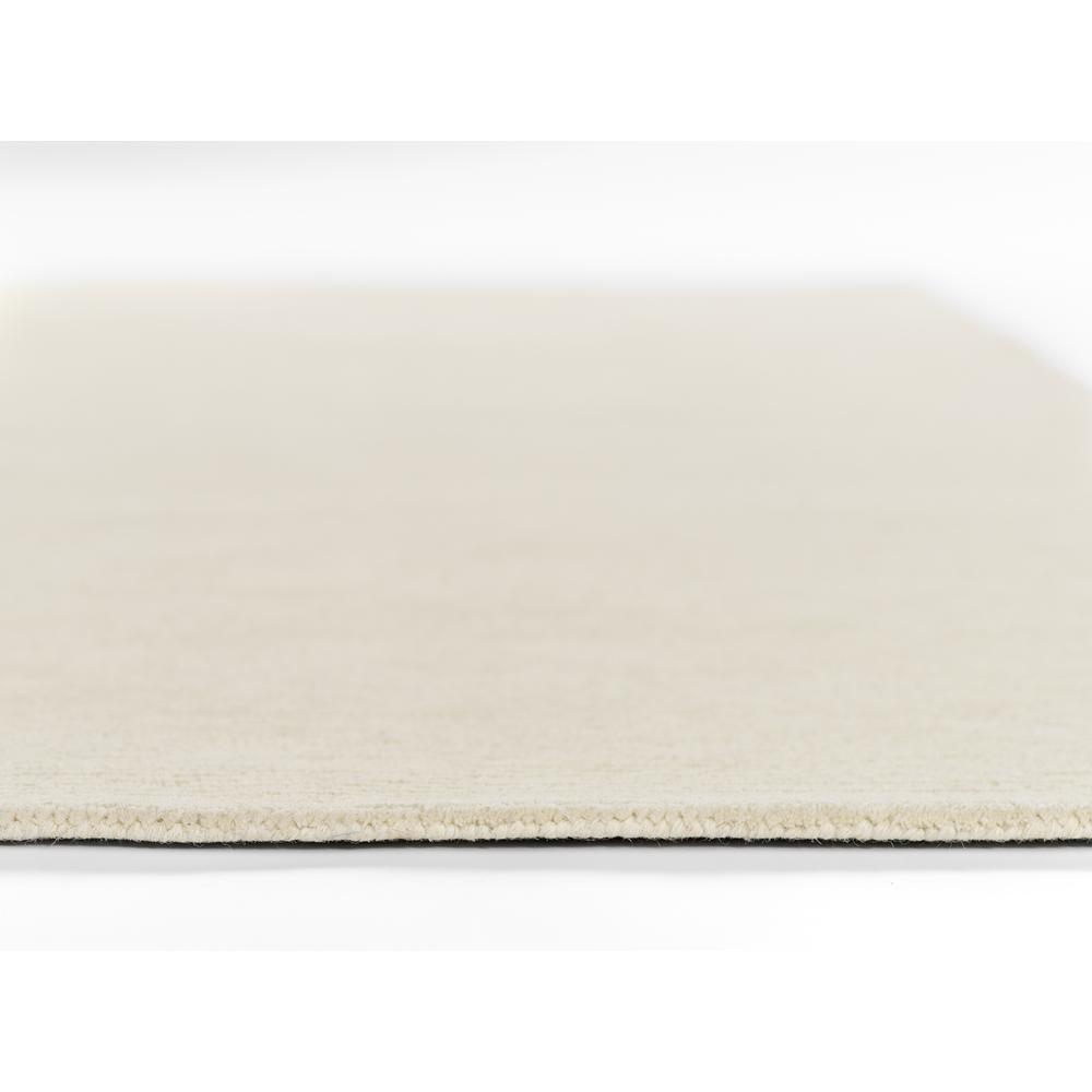 Contemporary Rectangle Area Rug, Ivory, 9' X 12'. Picture 5