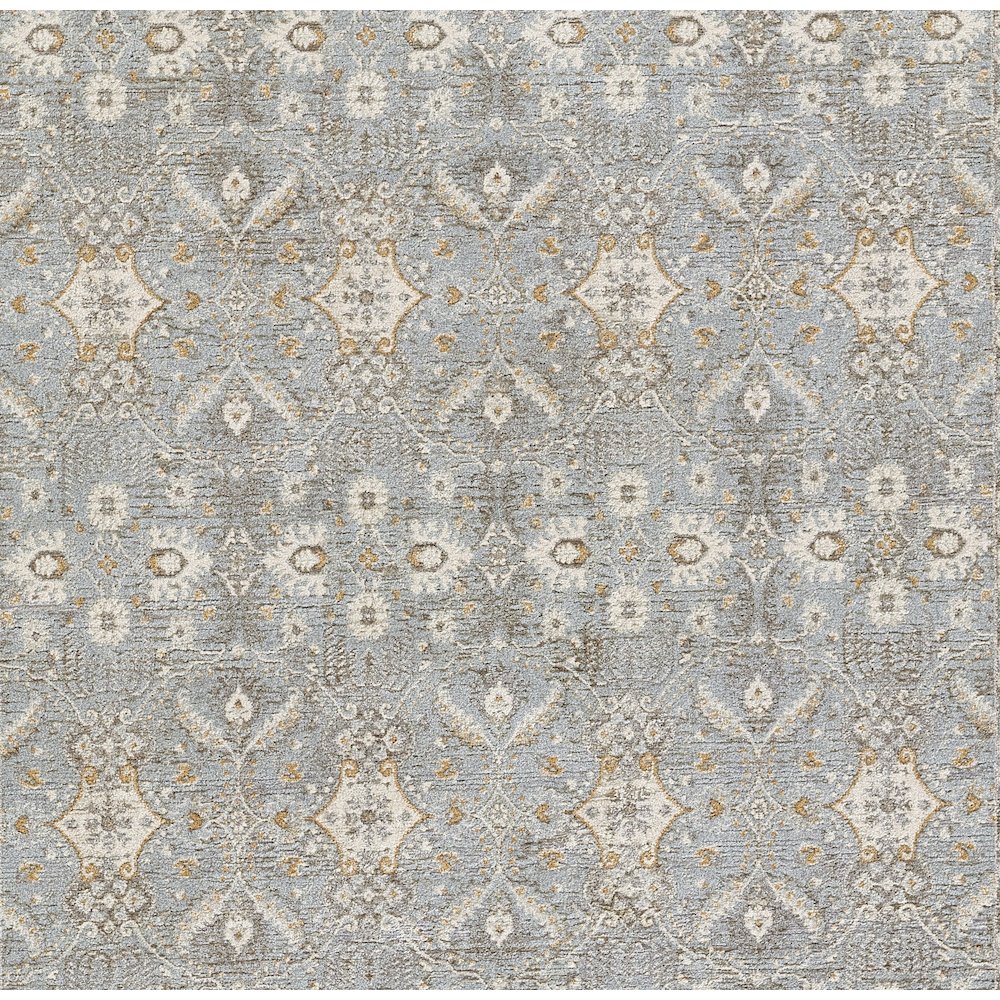 Traditional Rectangle Area Rug, Blue, 8' X 10'. Picture 7