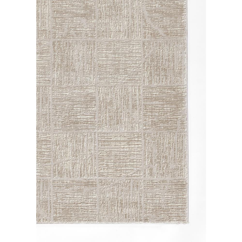 Contemporary Rectangle Area Rug, Beige, 9' X 12'. Picture 2