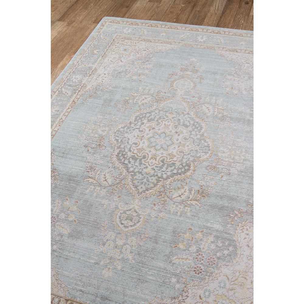 Traditional Rectangle Area Rug, Blue, 9'3" X 11'10". Picture 2