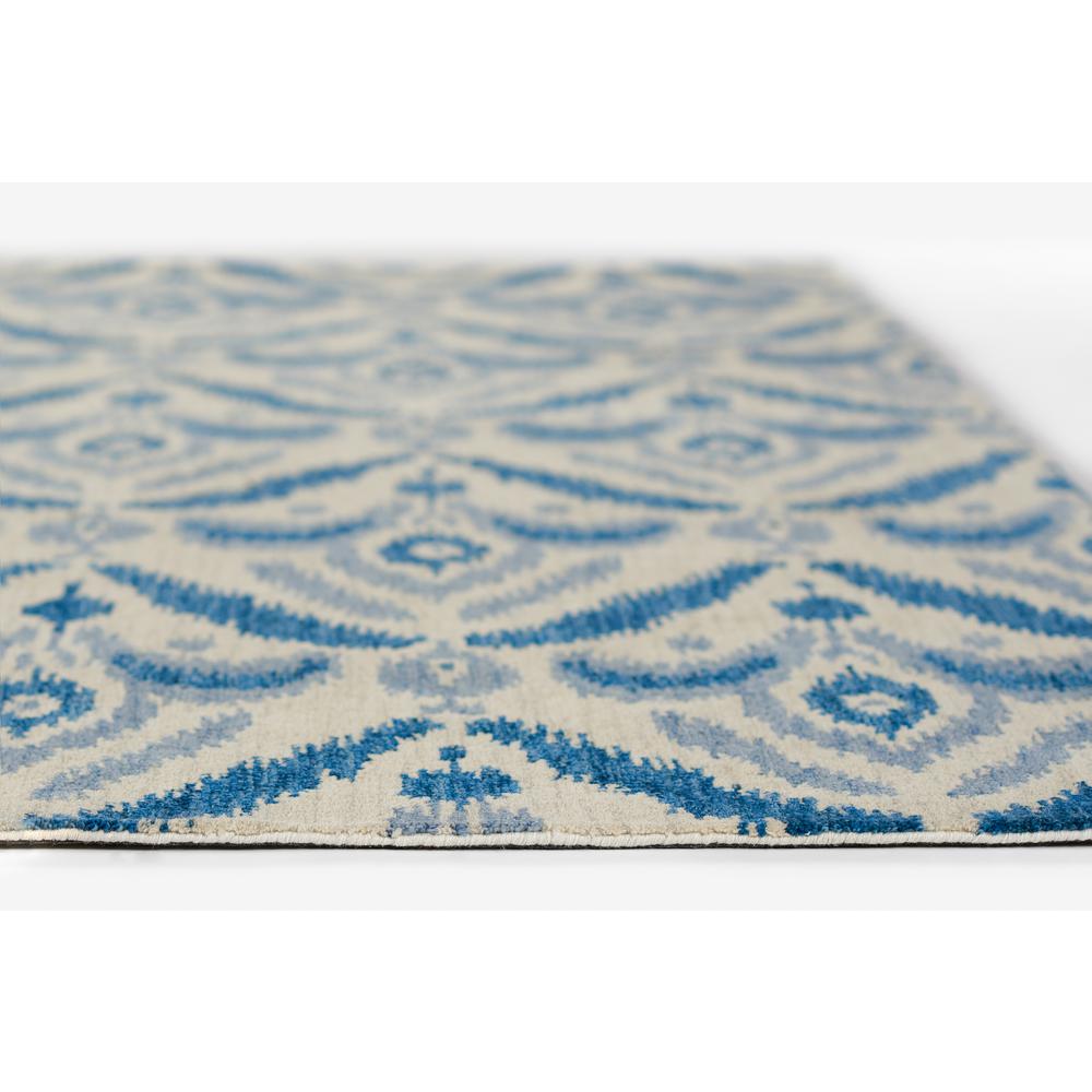 Transitional Rectangle Area Rug, Blue, 9' X 12'. Picture 5