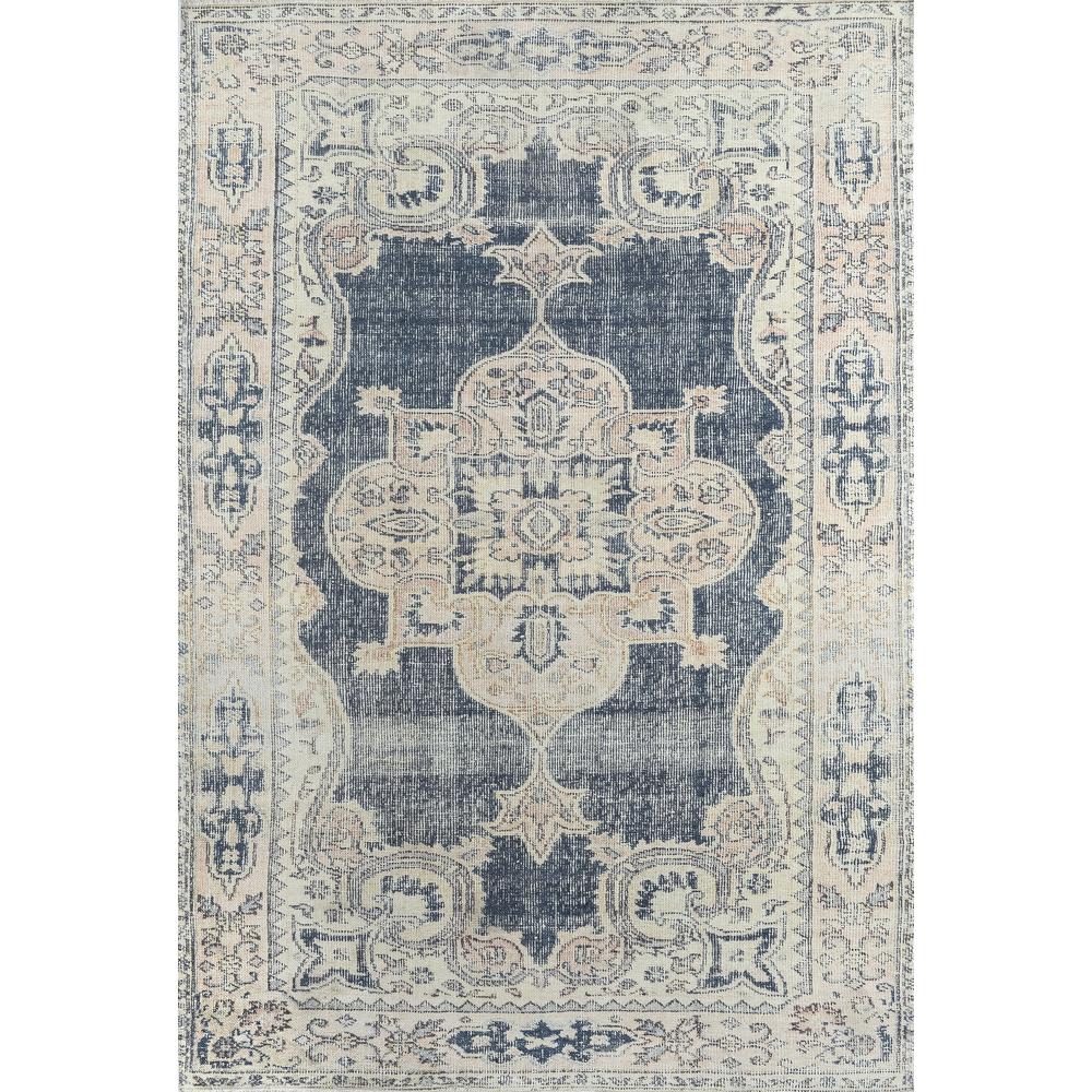 Traditional Rectangle Area Rug, Navy, 2' X 3'. Picture 1